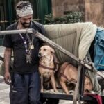 Morador de rua chora ao encontrar cachorro perdido na rua