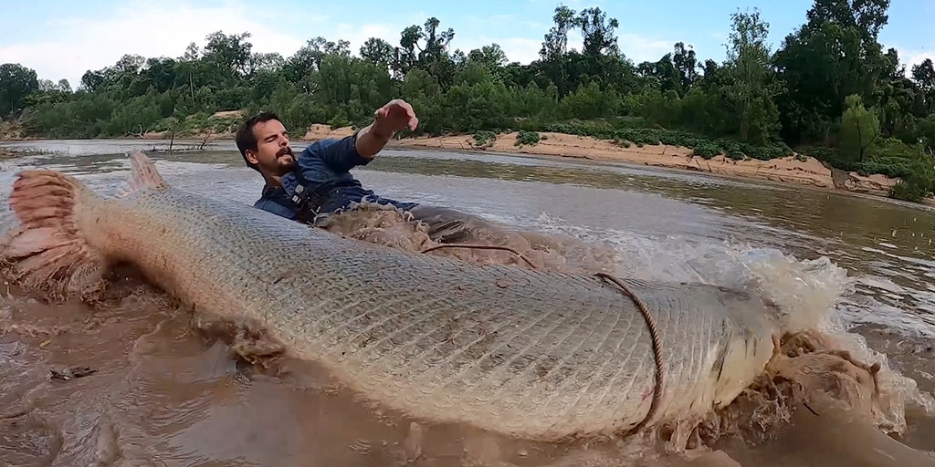 Soudain attrapé un poisson géant de 90 mètres de long aux États-Unis.