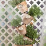 Lleve sabores frescos a su hogar con 25 pequeños jardines de hierbas verticales
