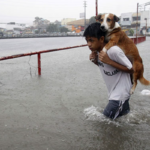 Terrível inundação devido a tempestade, o cachorro foi carregado por dezenas de quilômetros pelo menino