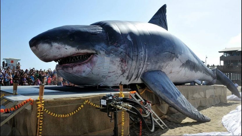 Depredador sin precedentes: Tiburón enorme asombra a los zoólogos con imágenes asombrosas