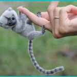 L’actualité la plus chaude du jour ! Rencontrez Finger Monkey, le plus petit singe du monde (Vidéo) ! si inattendu