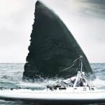 Vídeo especial: O público ficou chocado quando o navio foi ʋirɑdo por uma baleia jubarte gigante