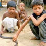 Incroyable découverte du serpent  un village indien pour que les enfants apprennent à séduire un cobra dès leur plus jeune âge