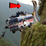 Durante el rescate, una serpiente gigante se lanza hacia adelante para proteger a cientos de personas de caer por un acantilado. (VIDEO)