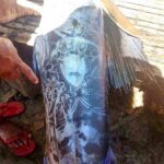 Aux Philippines, des poissons étranges tatoués sur le corps excitent beaucoup de gens (Vidéo)