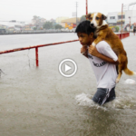 O menino carregou o cachorro por centenas de quilômetros apesar do sol e da chuva porque não tinha casa
