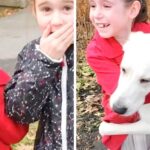 Comment un chien a rapproché une famille grâce à une adoption inattendue