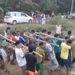 Choque! como pessoas sendo perseguidas por crocodilos e cobras gigantes (vídeo)
