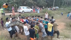 Choque! como pessoas sendo perseguidas por crocodilos e cobras gigantes (vídeo)