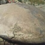 Se cree que el disco de roca ovni desenterrado en Rusia es más antiguo que el elefante Mammuthus