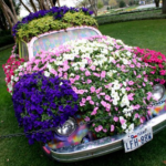 Buenos consejos para crear un jardín de flores de coche único.