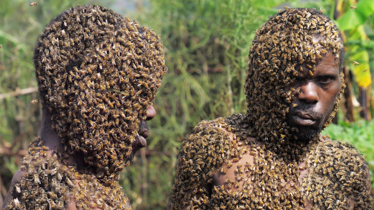 Scène de chaos  un homme capable de communiquer sa vie avec des milliers d’abeilles