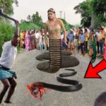 História incrivelmente estranha: O homem que matou uma cobra se transformou em meio homem e meio cobra para puni-lo