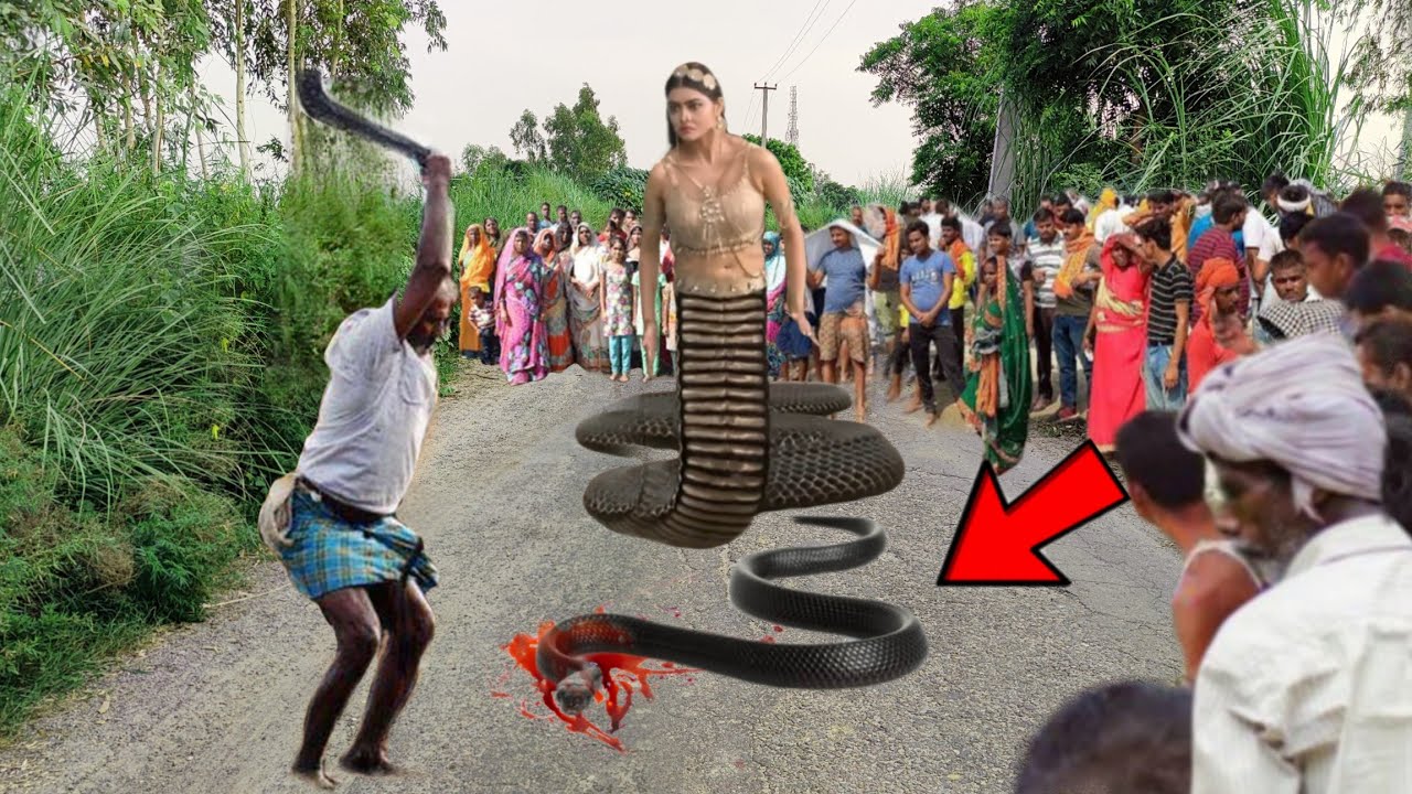 História incrivelmente estranha: O homem que matou uma cobra se transformou em meio homem e meio cobra para puni-lo