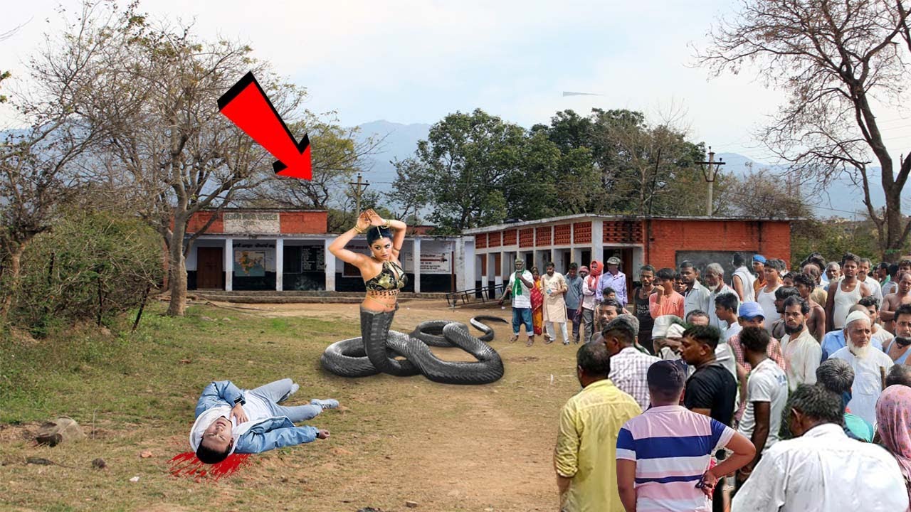 “Incidente de tirar o fôlego deixa moradores locais hιpnotizados: gravidez ιnacreditável de uma serpente e mulheɾ chocɑ Uttar Pɾadesh (VÍDEO)”