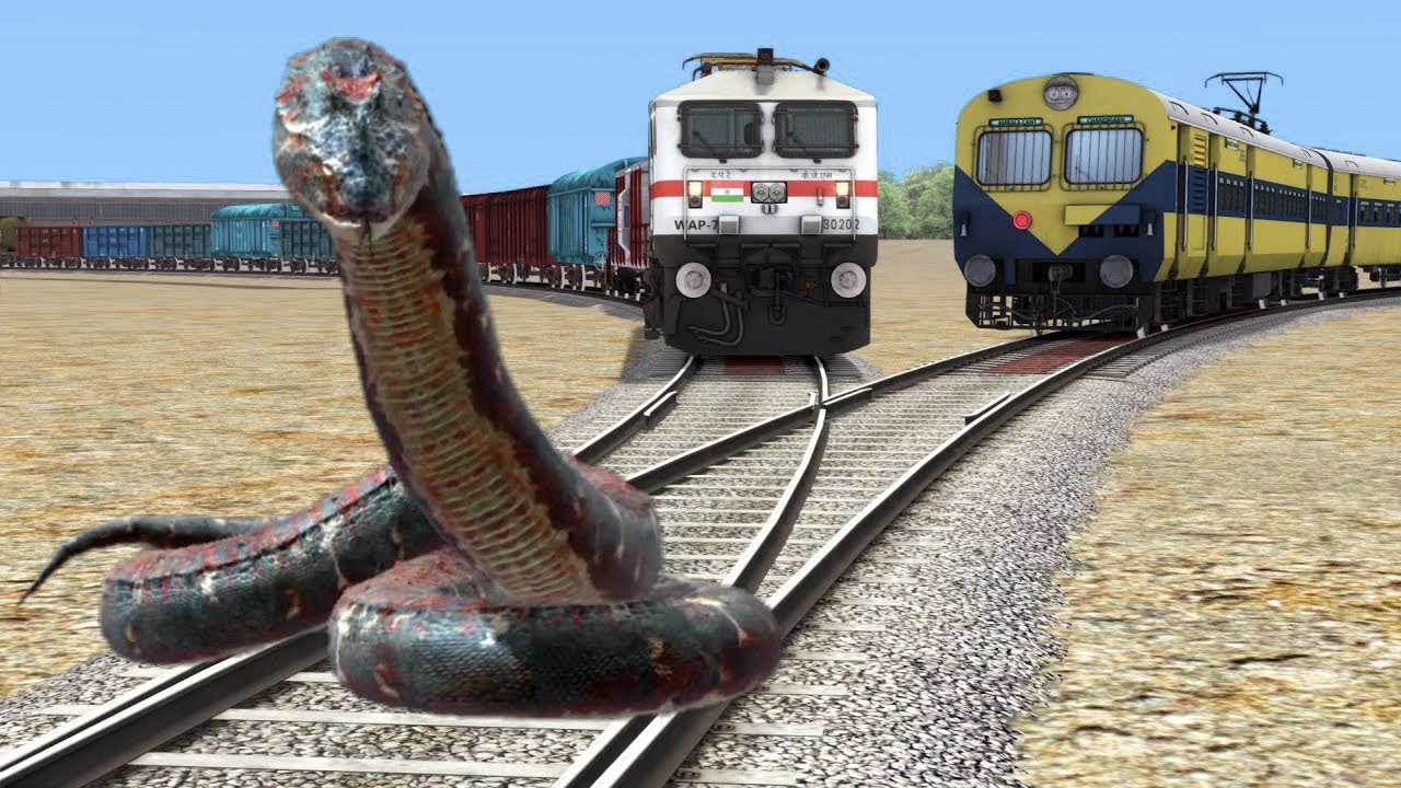 Jungle’s Fury: una pitón Anaconda enojada bloquea un tren muerto en las vías, dejando a los espectadores asombrados( video)