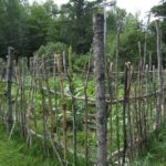 22 proyectos de jardín baratos y brillantes usando ramitas