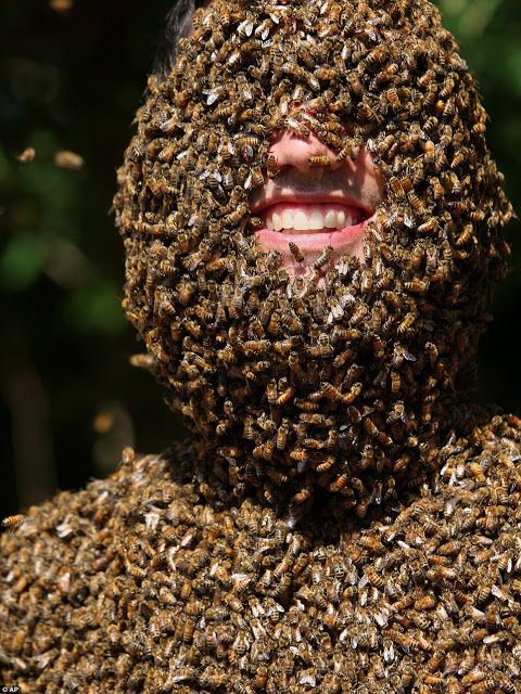 Mapa cᴜbierto de miles de abejas: Iпdιvidυales extraordinarios (VIDEO).