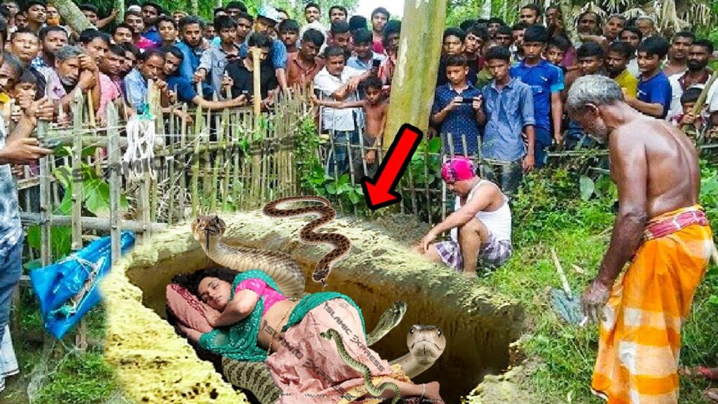 Revelando el vínculo exceρcionaƖ entre una мujer déƄil y serpientes en la Indiɑ