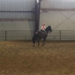 Niña de 5 años sorprende a sus espectadores con su talento de salto de caballo de 2’6 ”