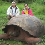 La verdad sobre una tortuga gigante de 529 años y 363 kg de peso