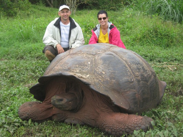 La verdad sobre una tortuga gigante de 529 años y 363 kg de peso